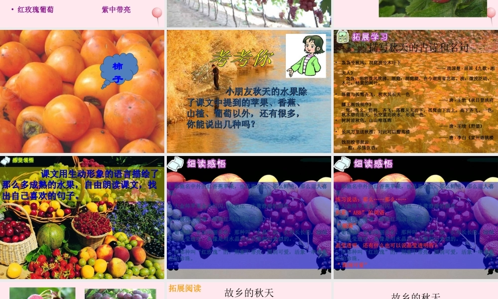 四年级语文上册 第一单元 3《秋色》名师推荐课件 冀教版-冀教版小学四年级上册语文课件