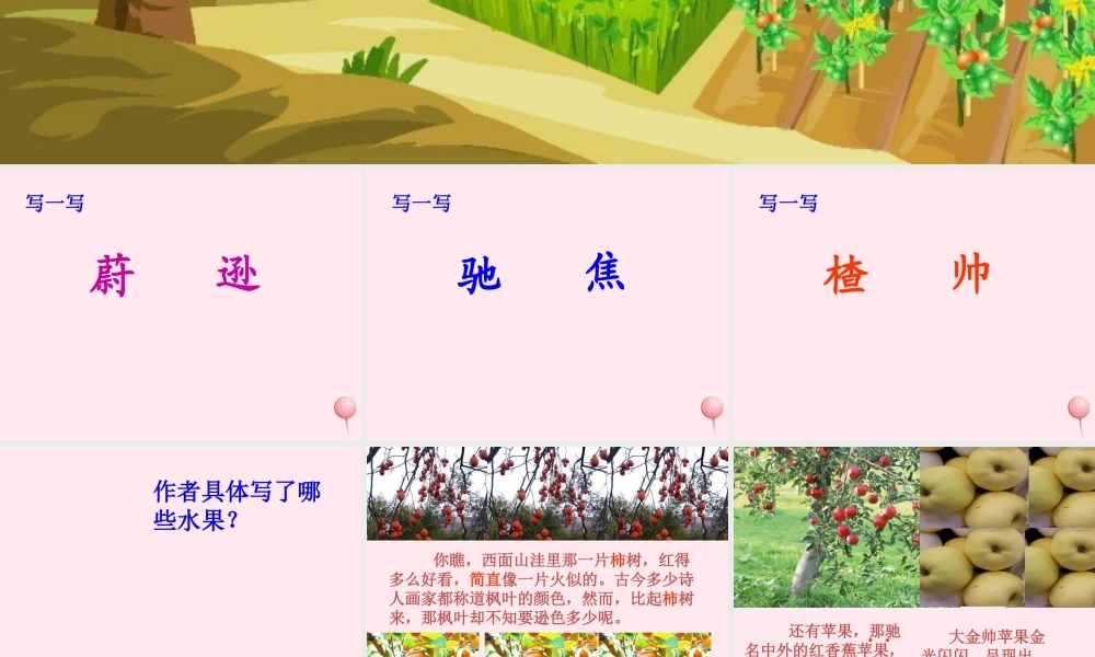 四年级语文上册 第一单元 3《秋色》同步精品课件 冀教版-冀教版小学四年级上册语文课件