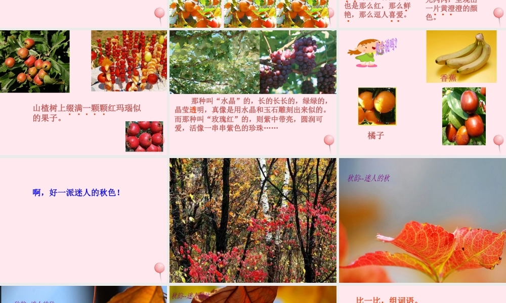 四年级语文上册 第一单元 3《秋色》同步精品课件 冀教版-冀教版小学四年级上册语文课件