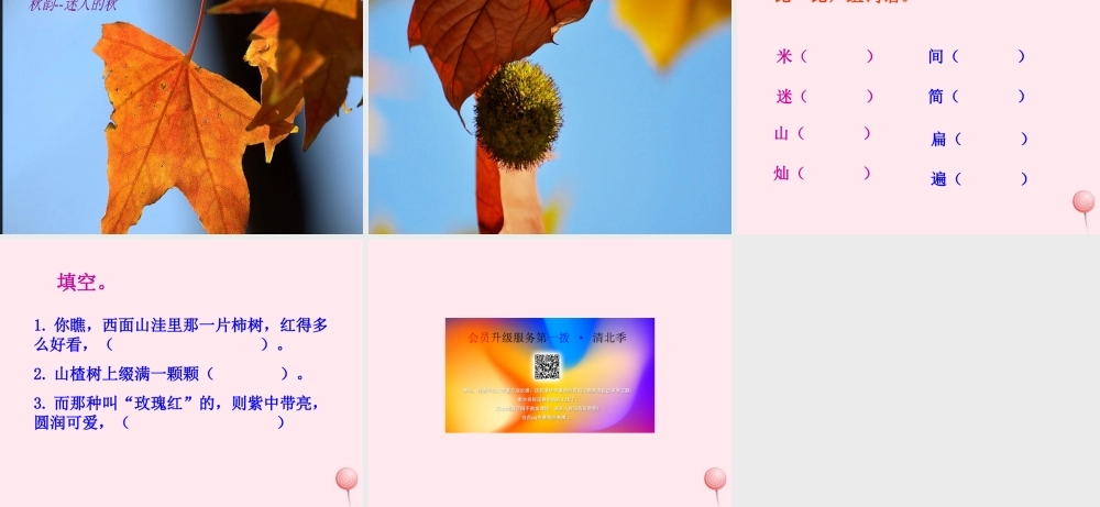 四年级语文上册 第一单元 3《秋色》同步精品课件 冀教版-冀教版小学四年级上册语文课件