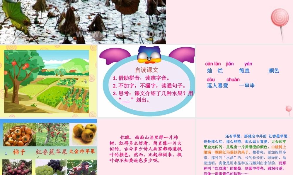 四年级语文上册 第一单元 3《秋色》同步优秀课件 冀教版-冀教版小学四年级上册语文课件