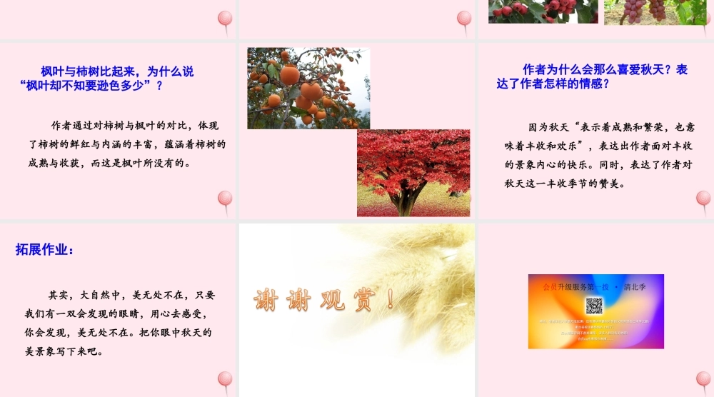 四年级语文上册 第一单元 3《秋色》优培课件 冀教版-冀教版小学四年级上册语文课件