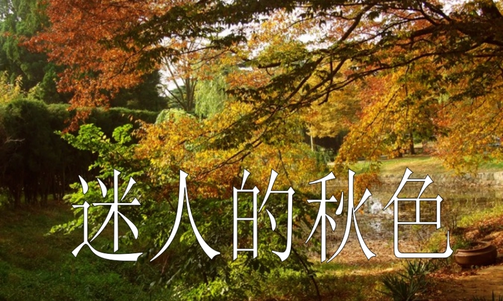 四年级语文上册 第一单元 3《秋色》优质同步课件 冀教版-冀教版小学四年级上册语文课件