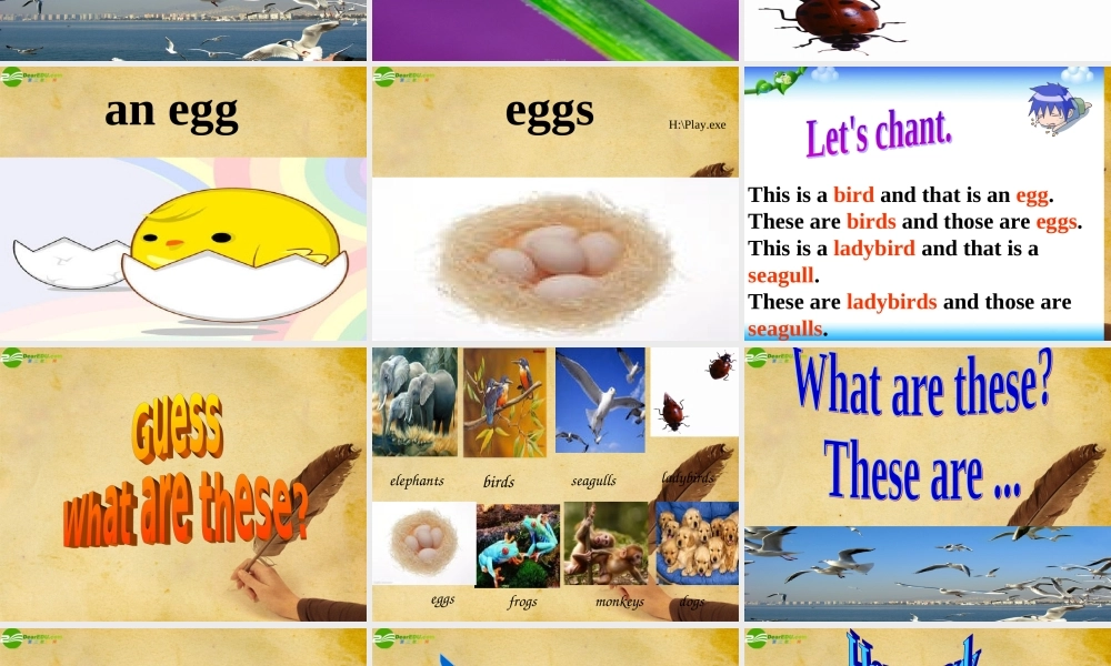 四年级英语上册 Unit4课件 湘少版