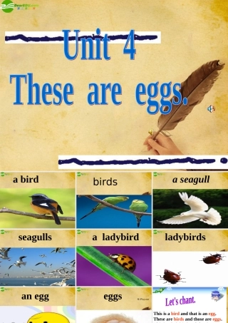 四年级英语上册 Unit4课件 湘少版