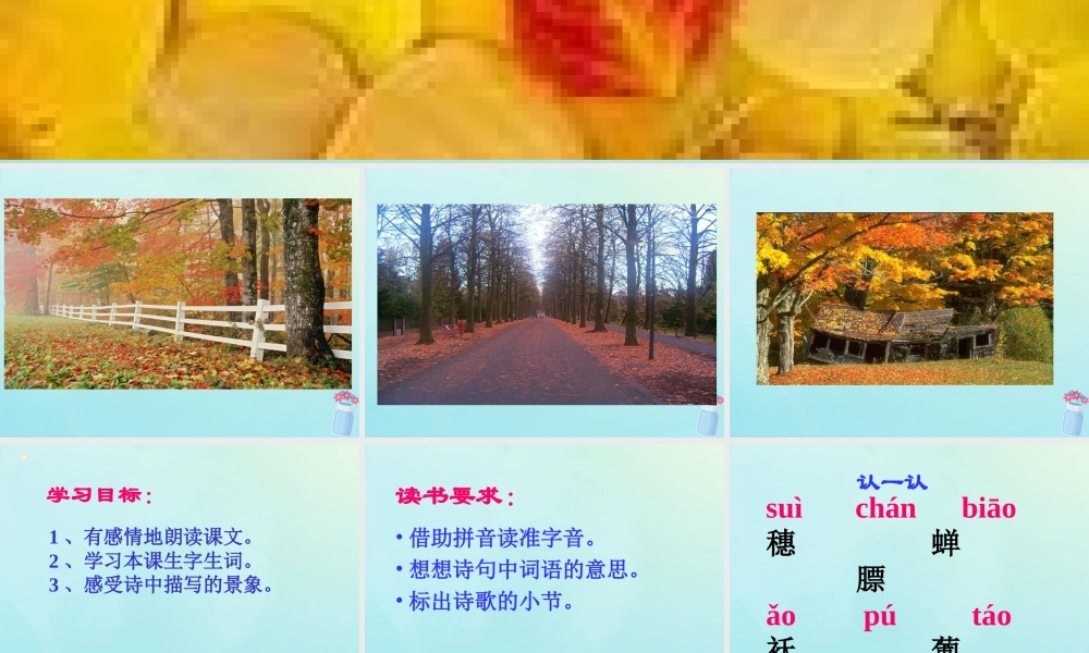 四年级语文上册 第一单元 4 秋天教学课件 苏教版-苏教版小学四年级上册语文课件