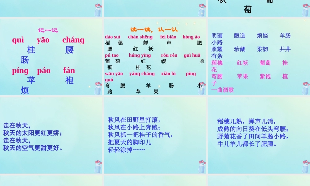 四年级语文上册 第一单元 4 秋天教学课件 苏教版-苏教版小学四年级上册语文课件