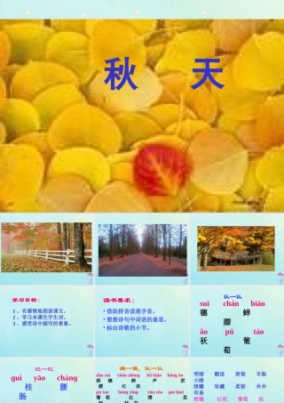 四年级语文上册 第一单元 4 秋天教学课件 苏教版-苏教版小学四年级上册语文课件