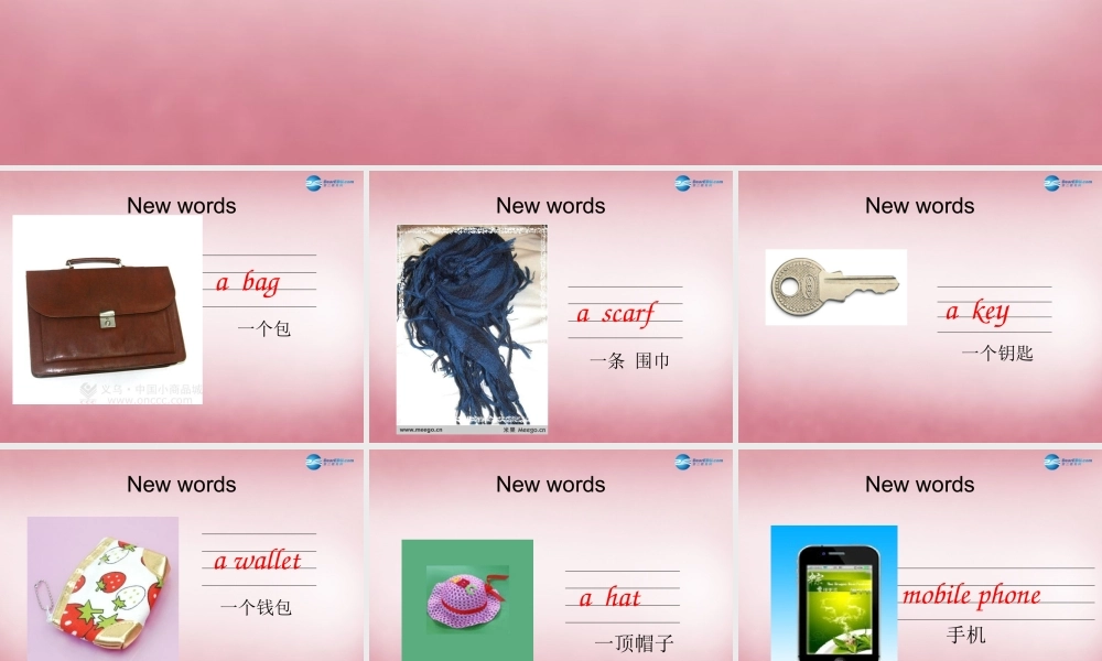 四年级英语上册 Unit7 Whose is this课件1 （新版）湘少版