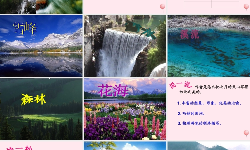 四年级语文上册 第一单元 4《七月的天山》精品课件 鲁教版-鲁教版小学四年级上册语文课件