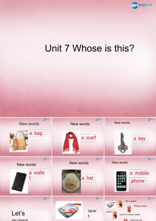 四年级英语上册 Unit7 Whose is this课件3 （新版）湘少版