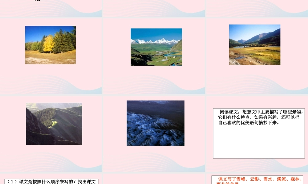 四年级语文上册 第一单元 4《七月的天山》课件 鲁教版-鲁教版小学四年级上册语文课件