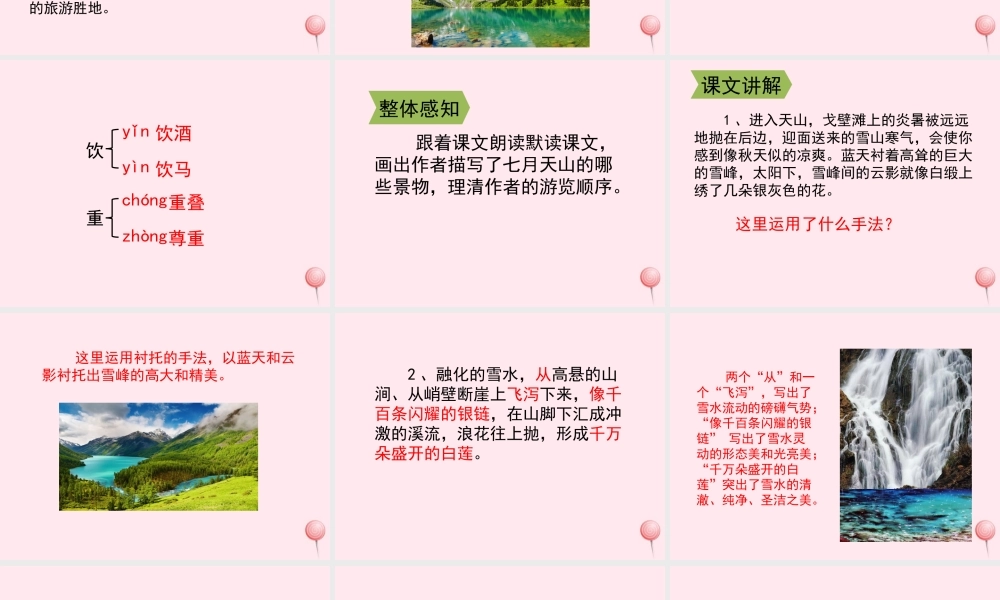 四年级语文上册 第一单元 4《七月的天山》配套课件 鲁教版-鲁教版小学四年级上册语文课件