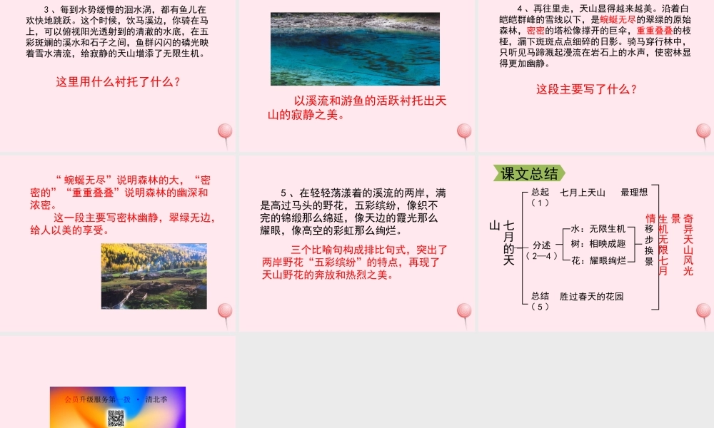 四年级语文上册 第一单元 4《七月的天山》配套课件 鲁教版-鲁教版小学四年级上册语文课件