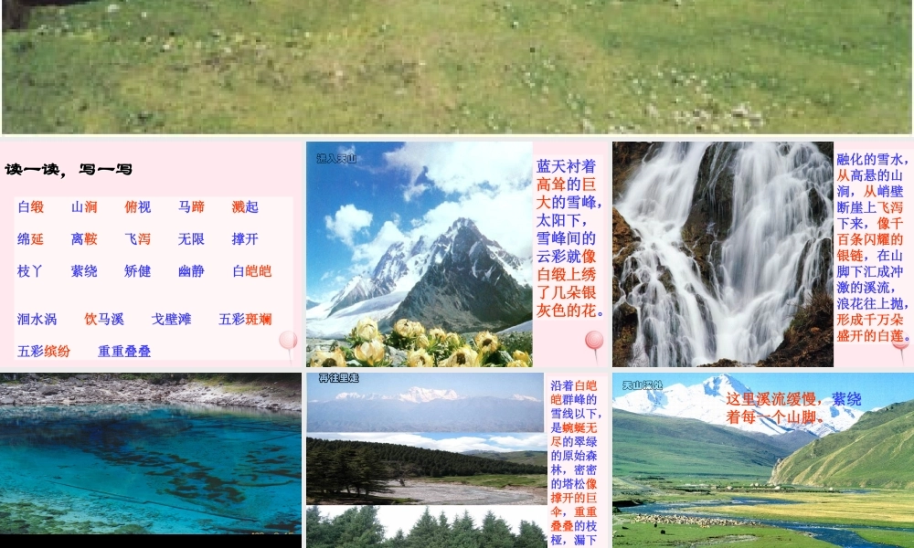 四年级语文上册 第一单元 4《七月的天山》同步教学课件 鲁教版-鲁教版小学四年级上册语文课件