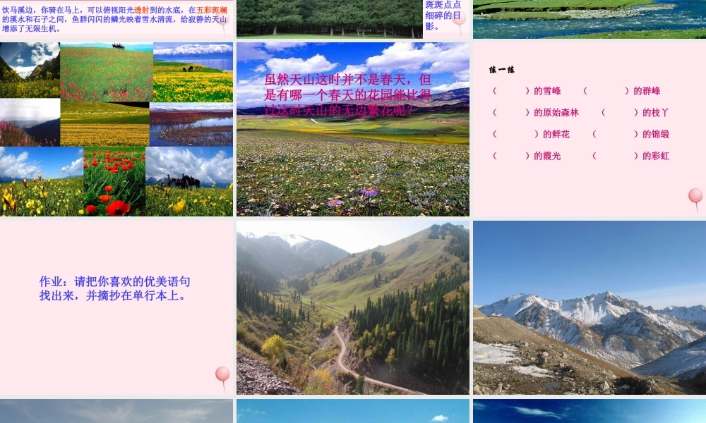 四年级语文上册 第一单元 4《七月的天山》同步教学课件 鲁教版-鲁教版小学四年级上册语文课件