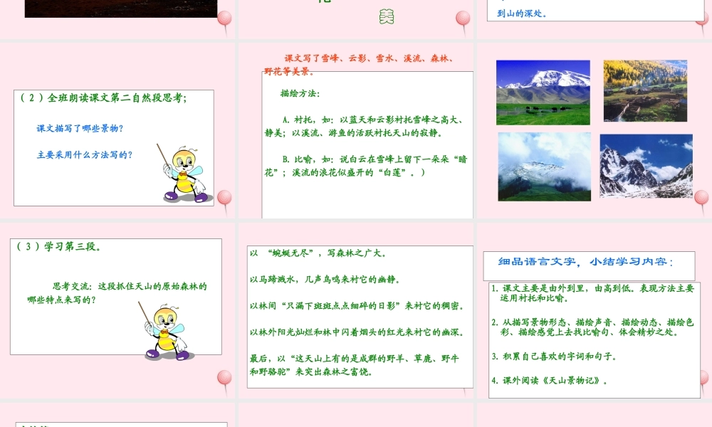 四年级语文上册 第一单元 4《七月的天山》原创课件 鲁教版-鲁教版小学四年级上册语文课件