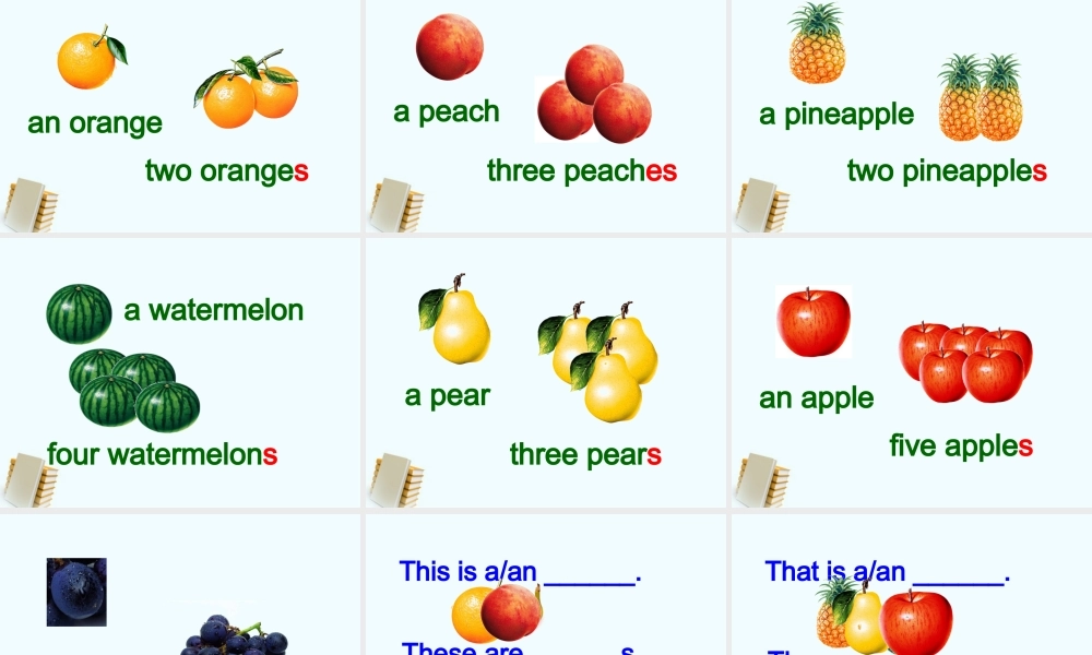 四年级英语下册 Unit 4(1)课件 苏教牛津版