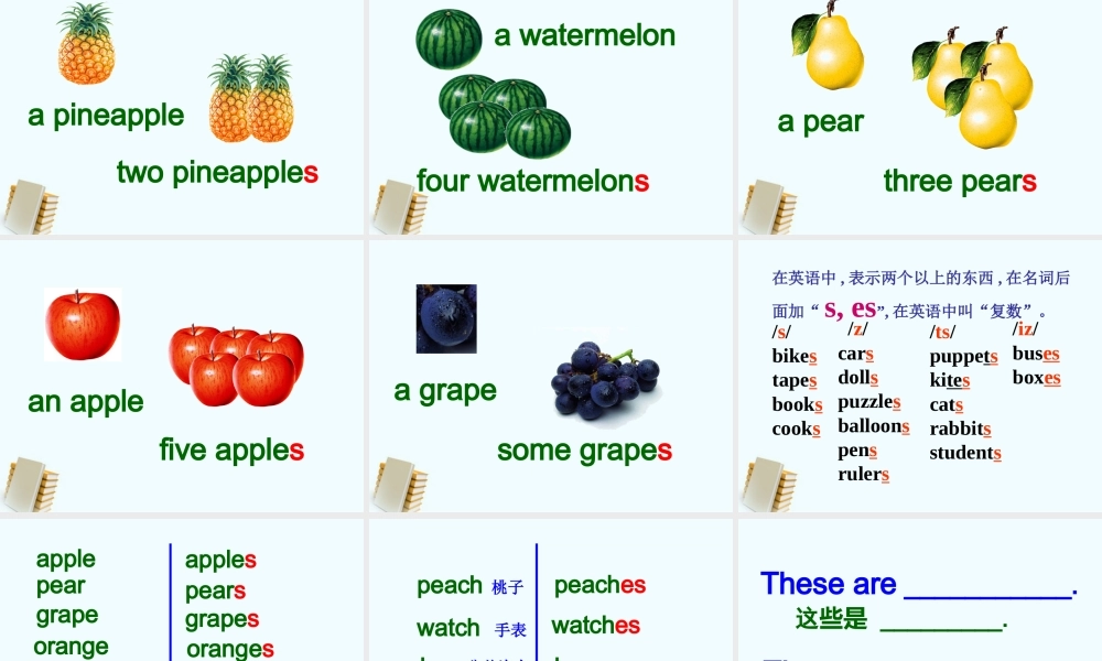 四年级英语下册 Unit 4(2)课件 苏教牛津版