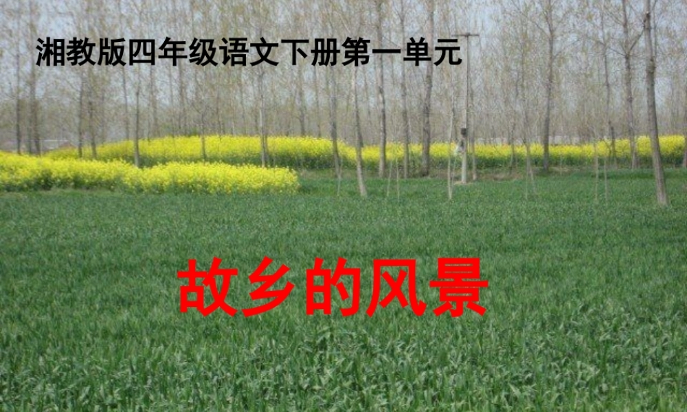 四年级语文上册 第一单元 故乡的风景课件1 湘教版-湘教版小学四年级上册语文课件