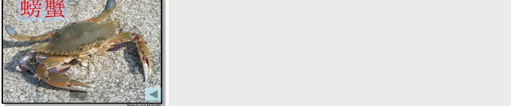 四年级语文上册 第一单元 海滩上的雕塑课件2 西师大版-西师大版小学四年级上册语文课件