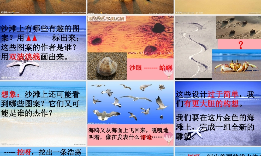 四年级语文上册 第一单元 海滩上的雕塑课件5 西师大版-西师大版小学四年级上册语文课件