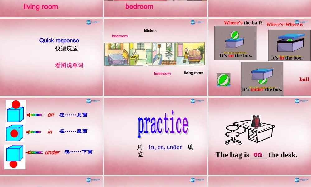 四年级英语上册 Unit11 Where’s the cat课件1 （新版）湘少版