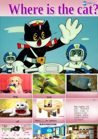 四年级英语上册 Unit11 Where’s the cat课件5 （新版）湘少版