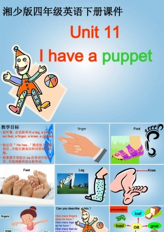 四年级英语下册 unit11课件 湘少版
