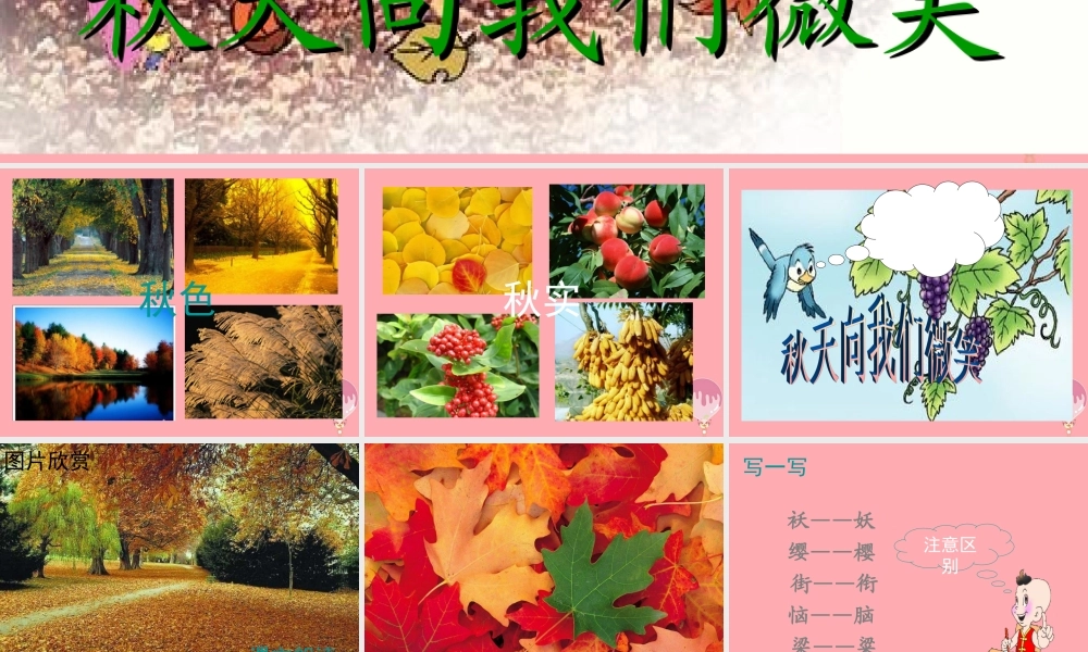 四年级语文上册 第一单元 秋天向我们微笑课件1 西师大版-西师大版小学四年级上册语文课件