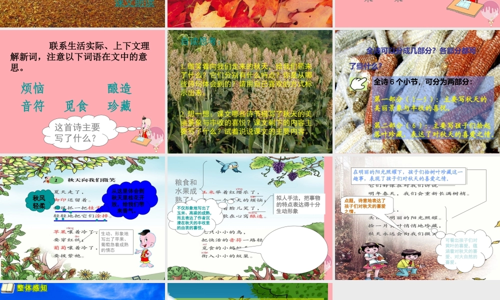 四年级语文上册 第一单元 秋天向我们微笑课件1 西师大版-西师大版小学四年级上册语文课件