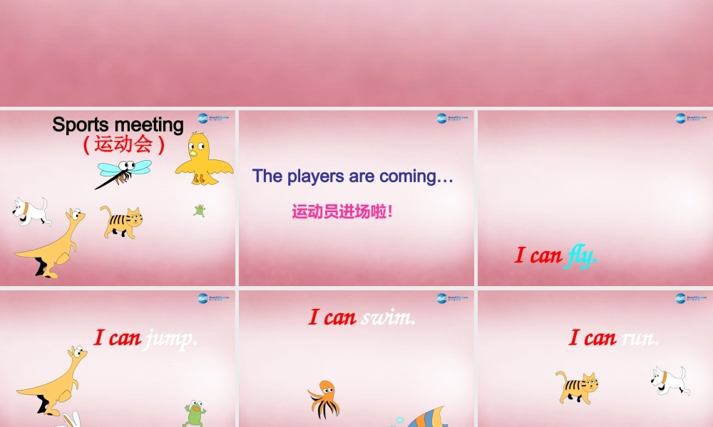 四年级英语上册 Unit12 Peter can jump high课件4 （新版）湘少版