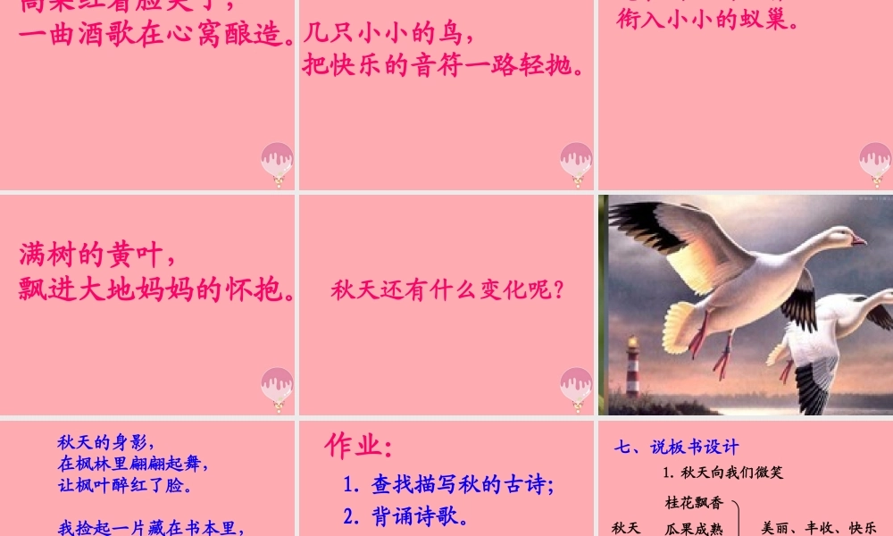 四年级语文上册 第一单元 秋天向我们微笑课件4 西师大版-西师大版小学四年级上册语文课件