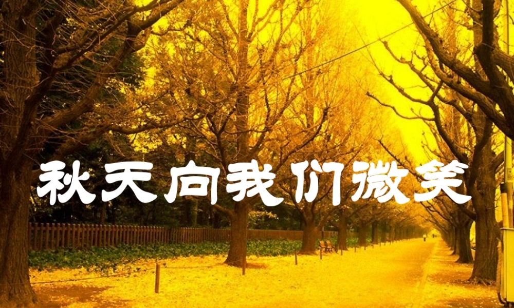 四年级语文上册 第一单元 秋天向我们微笑课件5 西师大版-西师大版小学四年级上册语文课件