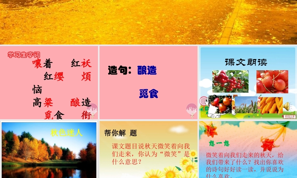 四年级语文上册 第一单元 秋天向我们微笑课件5 西师大版-西师大版小学四年级上册语文课件