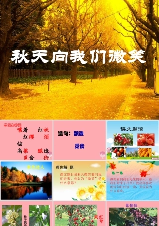 四年级语文上册 第一单元 秋天向我们微笑课件5 西师大版-西师大版小学四年级上册语文课件