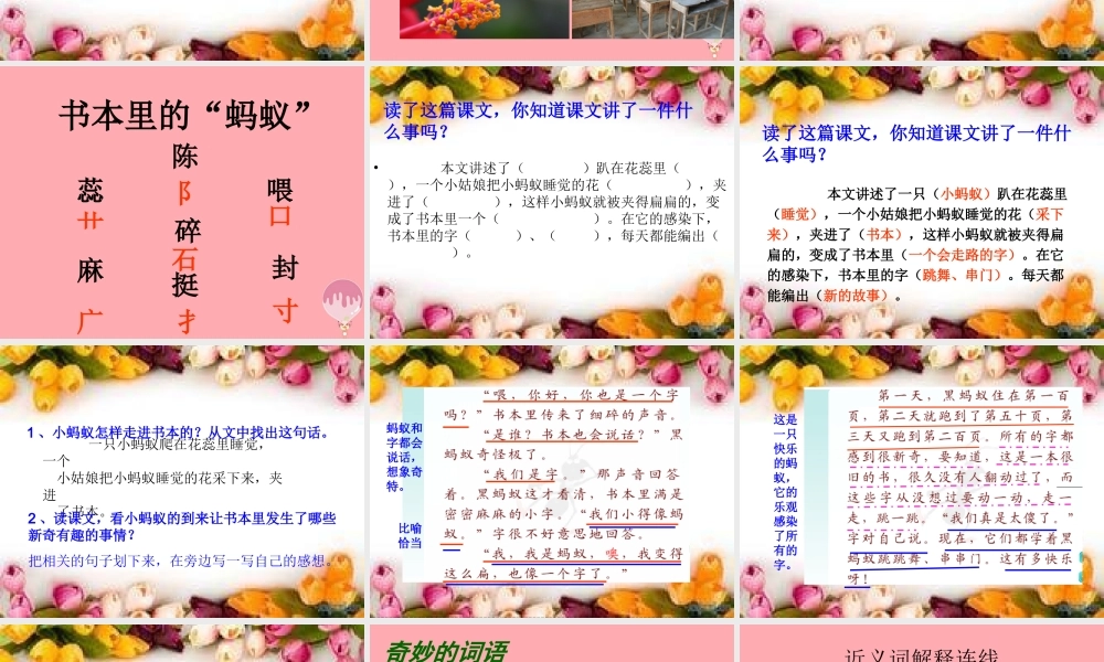 四年级语文上册 第一单元 书本里的蚂蚁课件2 鄂教版-鄂教版小学四年级上册语文课件