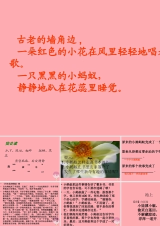 四年级语文上册 第一单元 书本里的蚂蚁课件4 鄂教版-鄂教版小学四年级上册语文课件