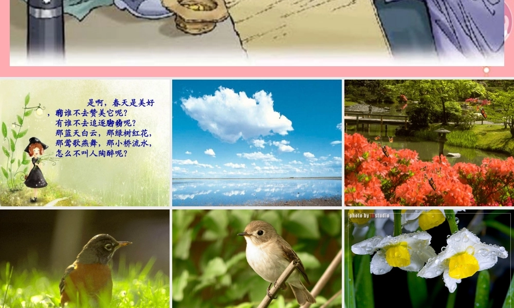 四年级语文上册 第一单元 语言的魅力课件3 鄂教版-鄂教版小学四年级上册语文课件