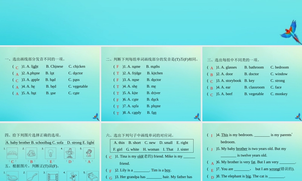 四年级英语上册 语音与词汇专项复习习题课件 人教PEP版-人教PEP小学四年级上册英语课件