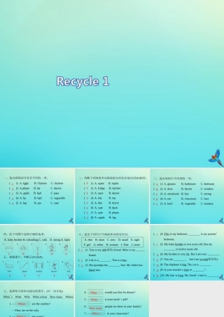 四年级英语上册 语音与词汇专项复习习题课件 人教PEP版-人教PEP小学四年级上册英语课件