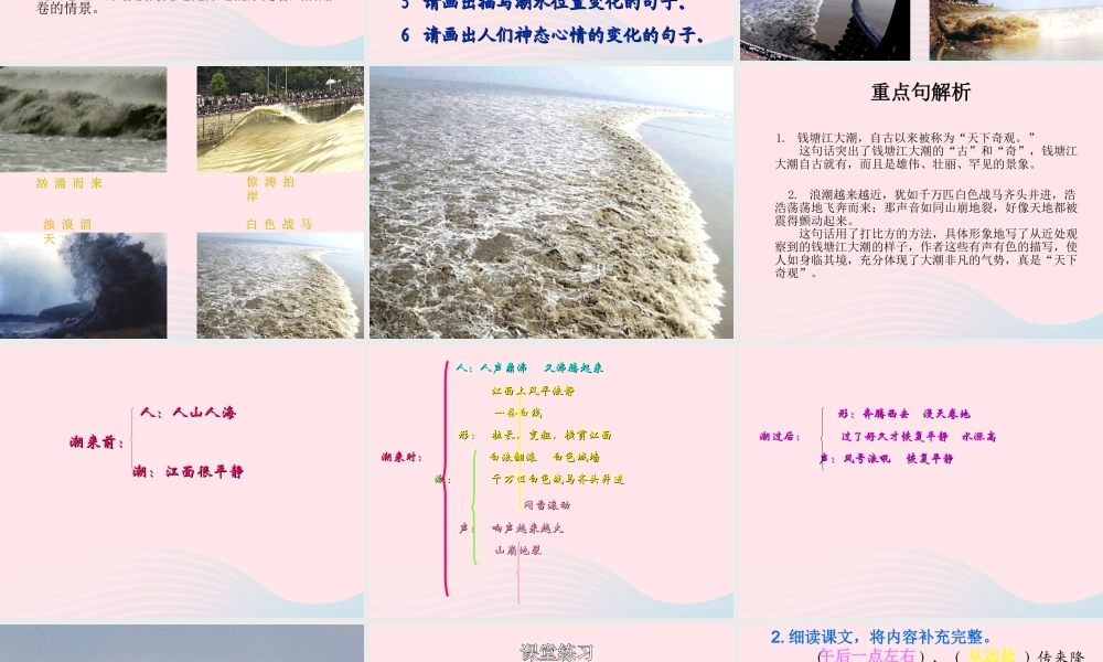 四年级语文上册 第一组 1 观潮课件 新人教版-新人教版小学四年级上册语文课件