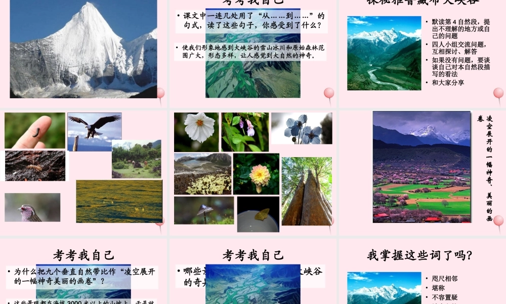 四年级语文上册 第一组 2《雅鲁藏布大峡谷》课堂教学课件2 新人教版-新人教版小学四年级上册语文课件