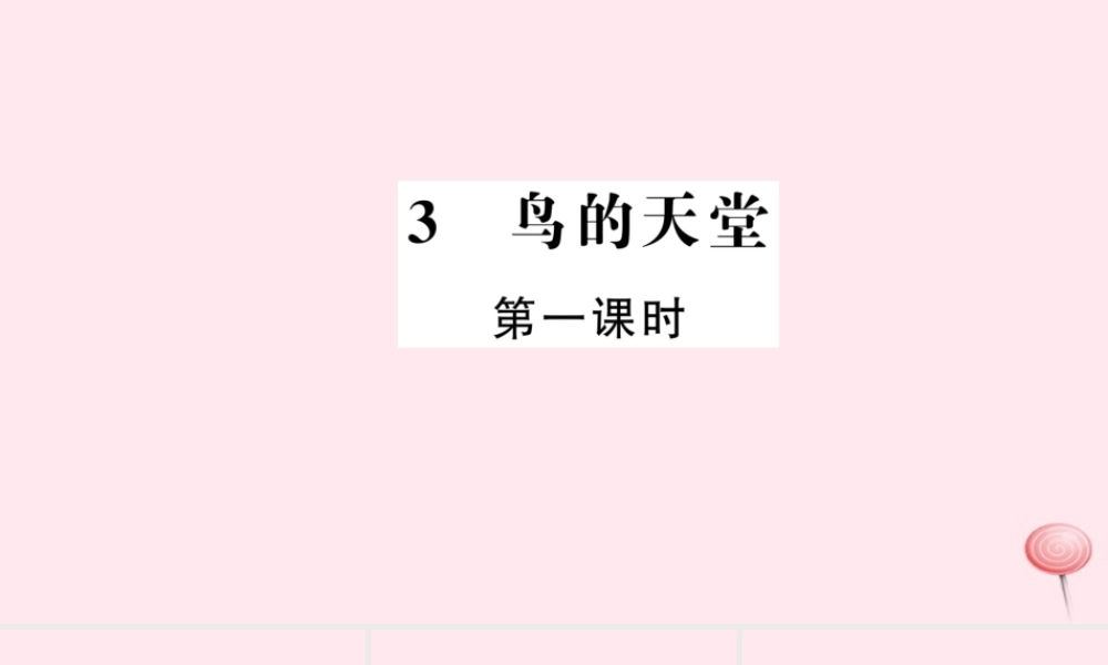 四年级语文上册 第一组 3 鸟的天堂（第1课时）习题课件 新人教版-新人教版小学四年级上册语文课件