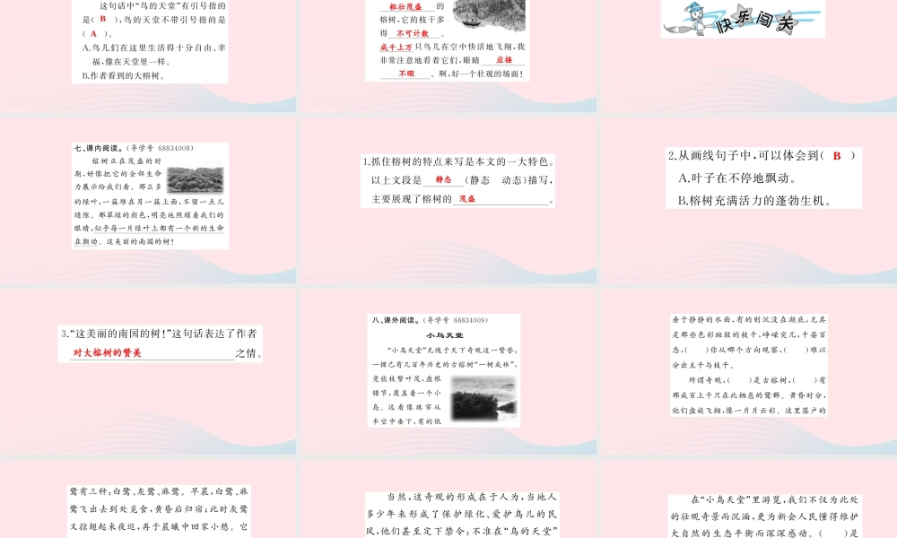 四年级语文上册 第一组 3 鸟的天堂习题课件 新人教版-新人教版小学四年级上册语文课件