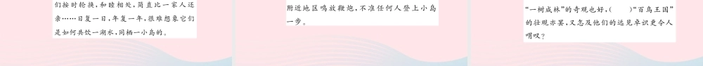 四年级语文上册 第一组 3 鸟的天堂习题课件 新人教版-新人教版小学四年级上册语文课件