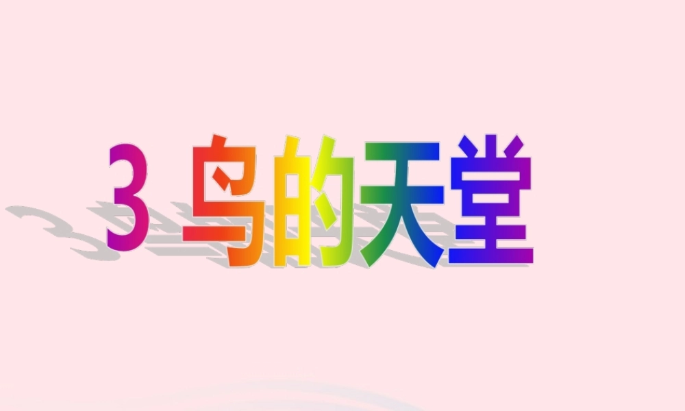 四年级语文上册 第一组 3《鸟的天堂》课堂教学课件3 新人教版-新人教版小学四年级上册语文课件