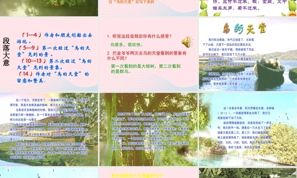 四年级语文上册 第一组 3《鸟的天堂》课堂教学课件3 新人教版-新人教版小学四年级上册语文课件