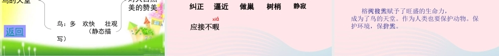 四年级语文上册 第一组 3《鸟的天堂》课堂教学课件3 新人教版-新人教版小学四年级上册语文课件