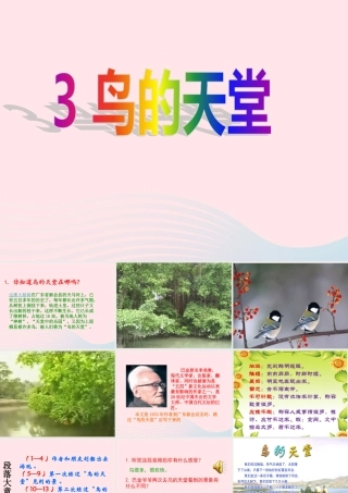 四年级语文上册 第一组 3《鸟的天堂》课堂教学课件3 新人教版-新人教版小学四年级上册语文课件